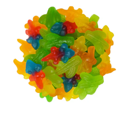 Cactus et Lézards du désert gommeux